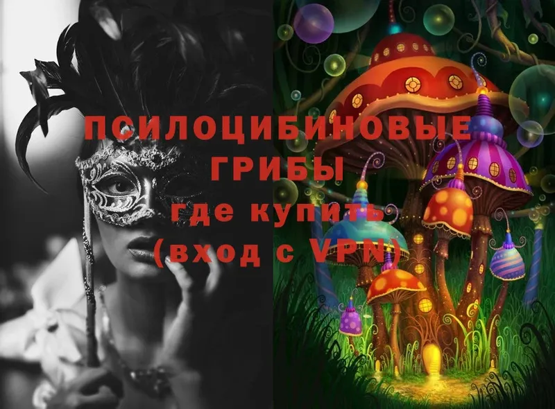 Псилоцибиновые грибы MAGIC MUSHROOMS  Бутурлиновка 